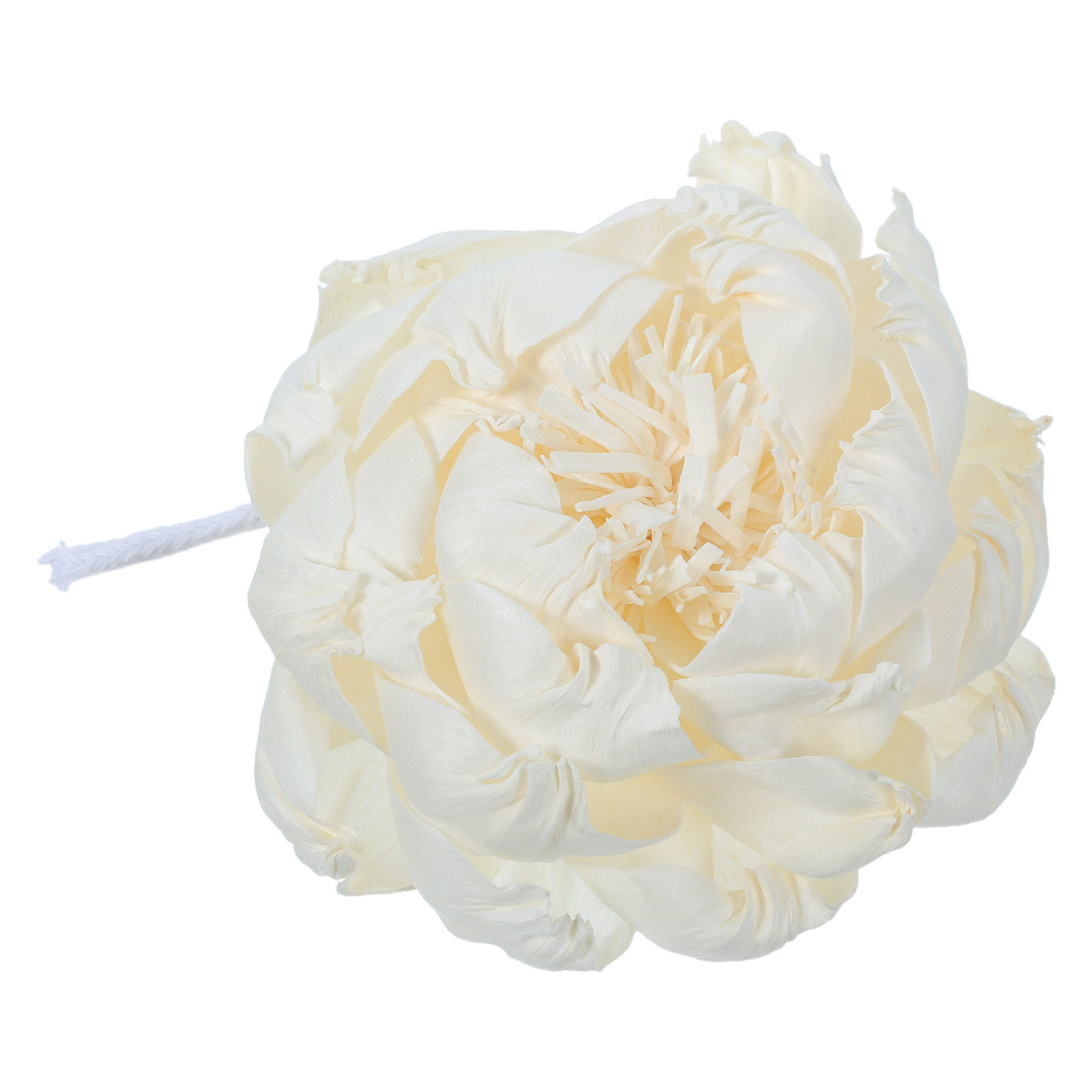 موزع عطر برائحة زهرة الفاونيا  - مراجعة Home Fragrances وسعره