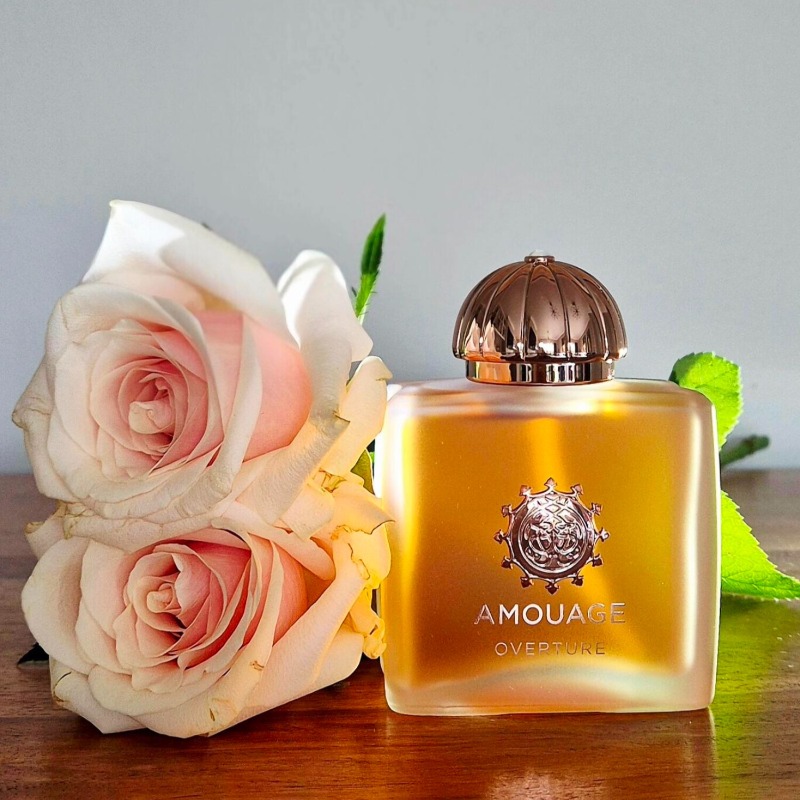 عطر أمواج الفاخر للنساء 100 مل - مراجعة Home Fragrance Vanilla Musk وسعره