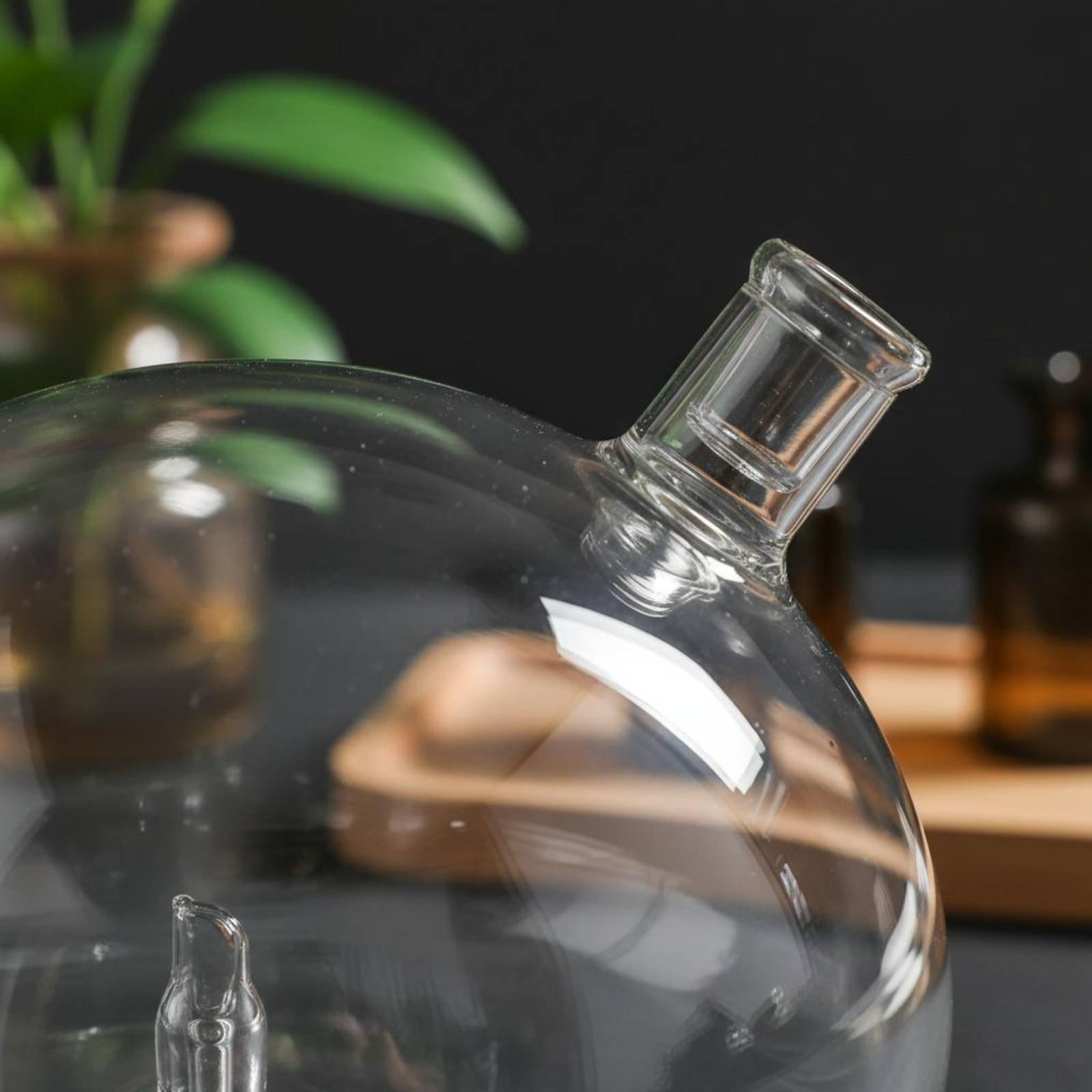 زجاجة ناشر عطر زجاجية بديلة عا - مراجعة Home Fragrances وسعره