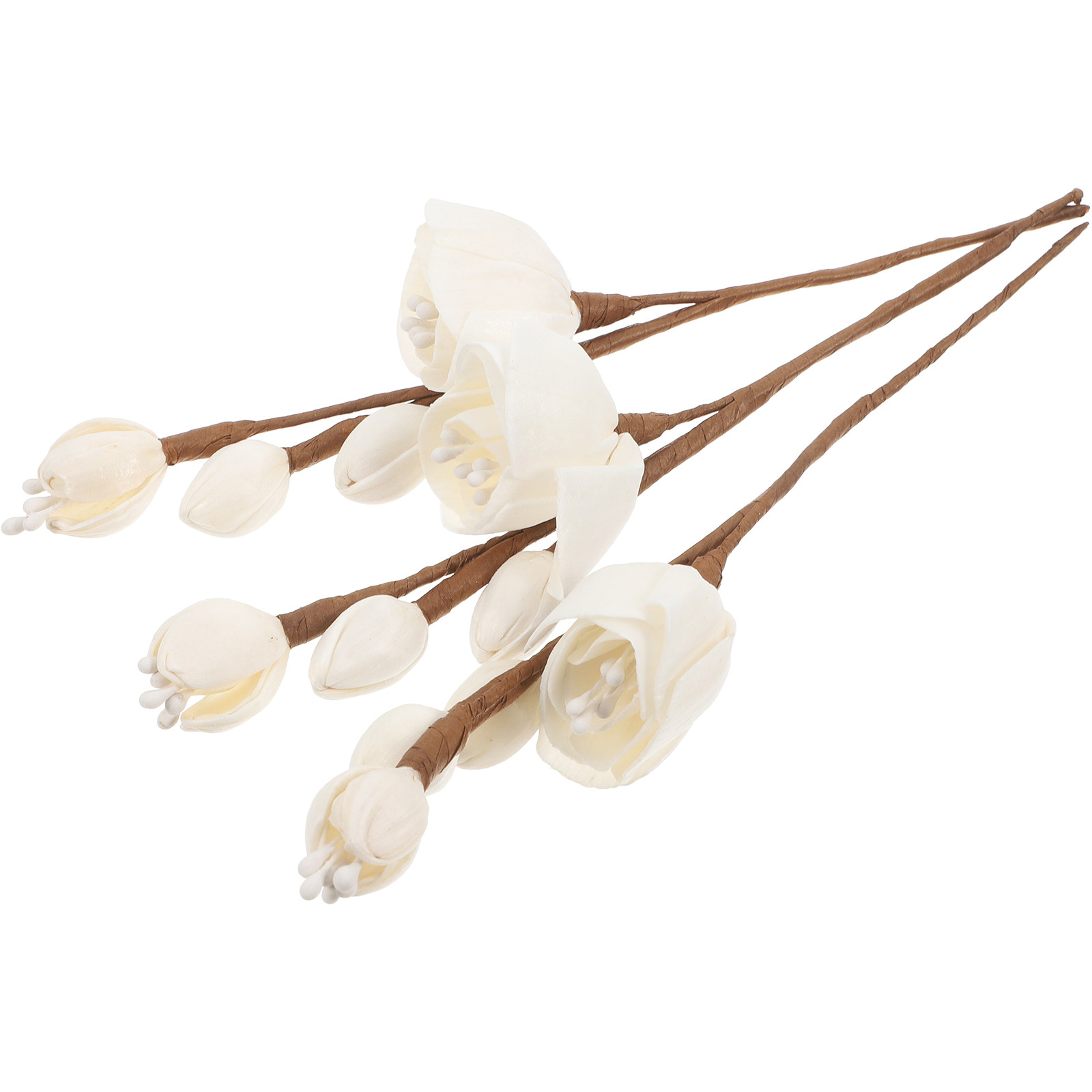 3 قطع من أعواد ناشر العطر المص - مراجعة Home Fragrance Natural وسعره